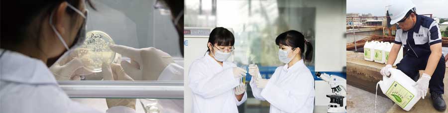 總氮菌-3天見效,15天達(dá)標(biāo)